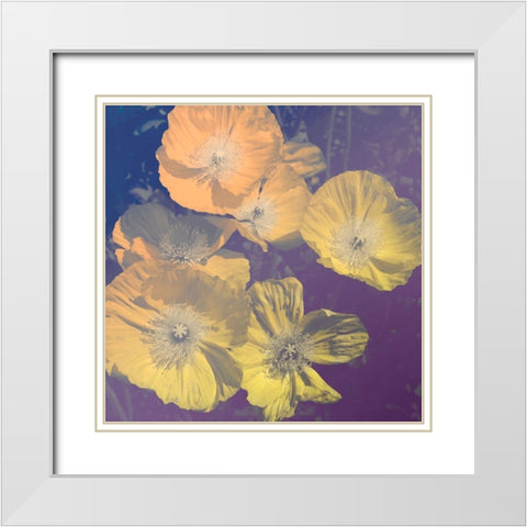 Flower Haze I White Modern Wood Framed Art Print with Double Matting by Savone, Daniela