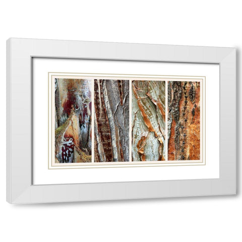 Palm Bark I White Modern Wood Framed Art Print with Double Matting by Jenney, Jessica
