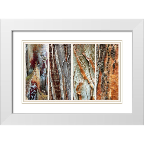 Palm Bark I White Modern Wood Framed Art Print with Double Matting by Jenney, Jessica