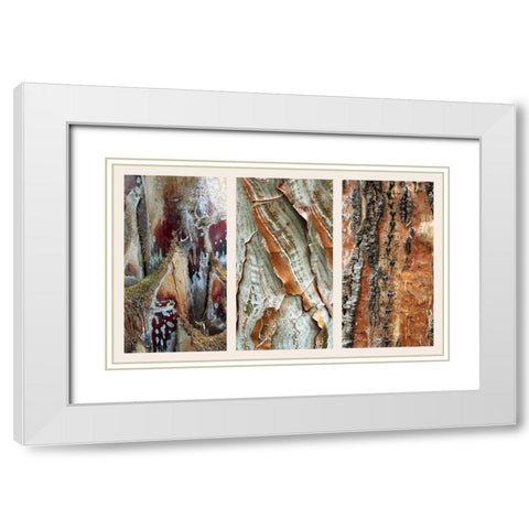 Palm Bark II White Modern Wood Framed Art Print with Double Matting by Jenney, Jessica