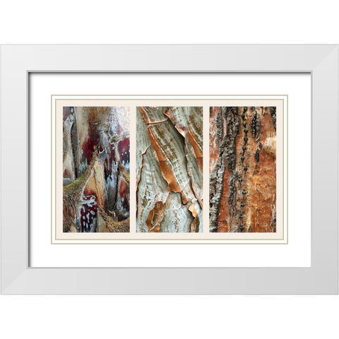 Palm Bark II White Modern Wood Framed Art Print with Double Matting by Jenney, Jessica