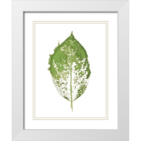Beginning In Blue VII - Green Version  White Modern Wood Framed Art Print with Double Matting by Evans, Amy
