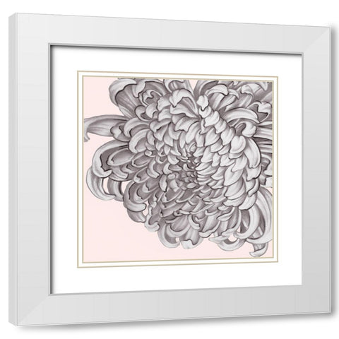Blush Peony I White Modern Wood Framed Art Print with Double Matting by Watts, Eva
