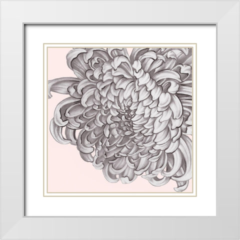 Blush Peony I White Modern Wood Framed Art Print with Double Matting by Watts, Eva