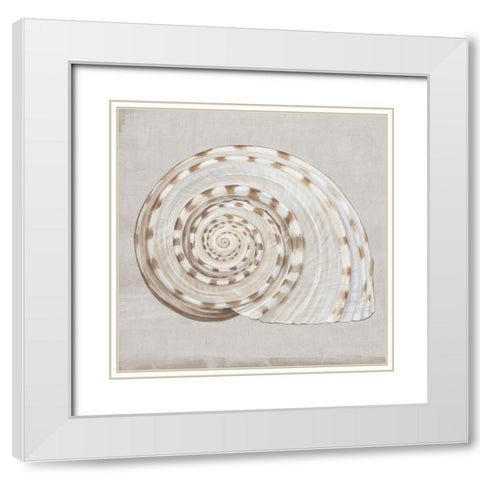 Neutral Shells I White Modern Wood Framed Art Print with Double Matting by Watts, Eva