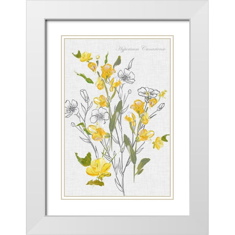 Botantical Yellow Flowers  White Modern Wood Framed Art Print with Double Matting by Watts, Eva
