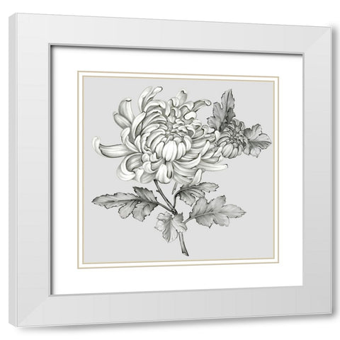 Grey Botanical II White Modern Wood Framed Art Print with Double Matting by Watts, Eva
