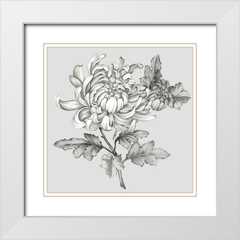 Grey Botanical II White Modern Wood Framed Art Print with Double Matting by Watts, Eva