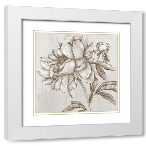 Glorious Peony II  White Modern Wood Framed Art Print with Double Matting by Watts, Eva
