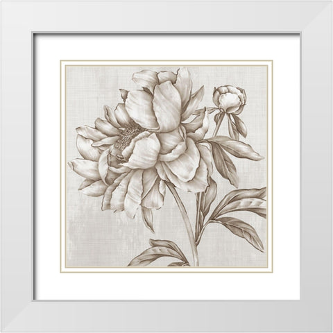 Glorious Peony II  White Modern Wood Framed Art Print with Double Matting by Watts, Eva