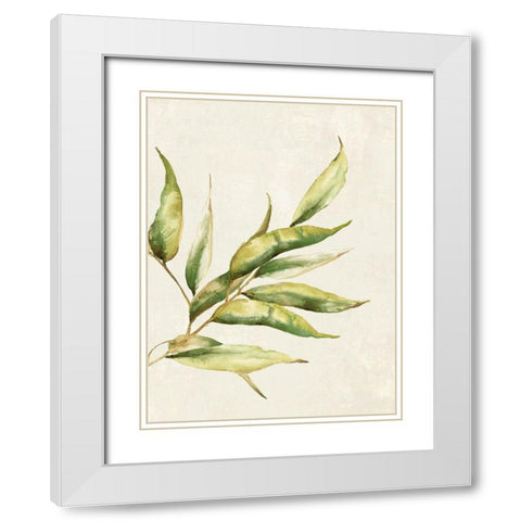 Willow Branch I  White Modern Wood Framed Art Print with Double Matting by Watts, Eva