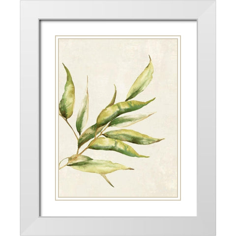 Willow Branch I  White Modern Wood Framed Art Print with Double Matting by Watts, Eva