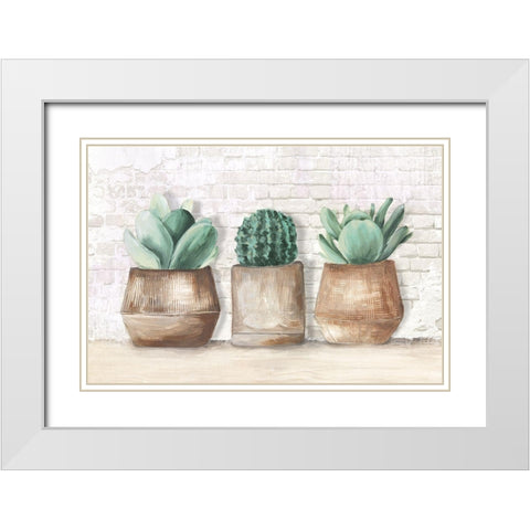 Three Cactus  White Modern Wood Framed Art Print with Double Matting by Watts, Eva