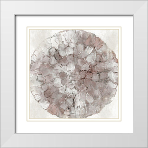 Antique Rose Plate  White Modern Wood Framed Art Print with Double Matting by Watts, Eva