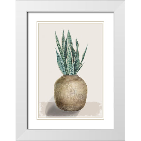 Snake Plant White Modern Wood Framed Art Print with Double Matting by Watts, Eva