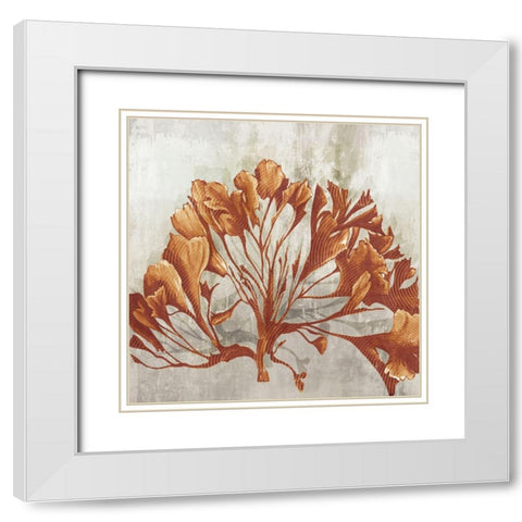 Rustic Coral II  White Modern Wood Framed Art Print with Double Matting by Watts, Eva