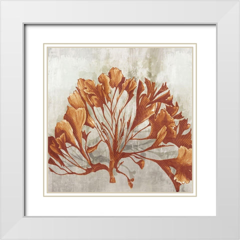 Rustic Coral II  White Modern Wood Framed Art Print with Double Matting by Watts, Eva