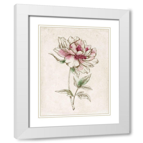 Sophistication II  White Modern Wood Framed Art Print with Double Matting by Watts, Eva