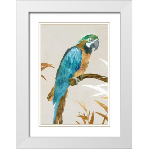 Blue Parrot I White Modern Wood Framed Art Print with Double Matting by Isabelle Z