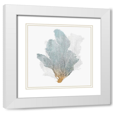 Delicate Coral II  White Modern Wood Framed Art Print with Double Matting by Isabelle Z