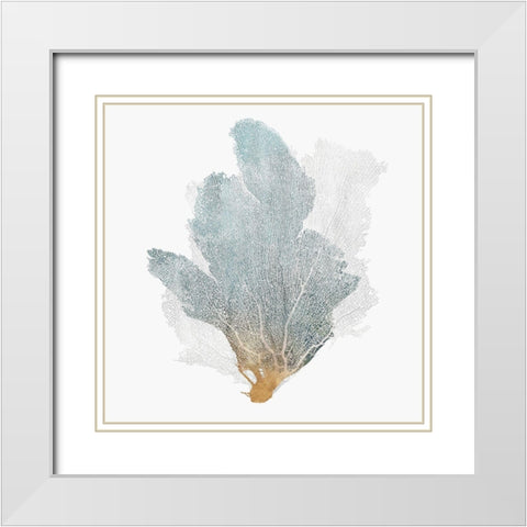 Delicate Coral II  White Modern Wood Framed Art Print with Double Matting by Isabelle Z