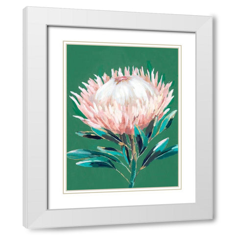Single King Protea  White Modern Wood Framed Art Print with Double Matting by Isabelle Z