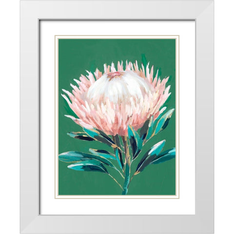 Single King Protea  White Modern Wood Framed Art Print with Double Matting by Isabelle Z