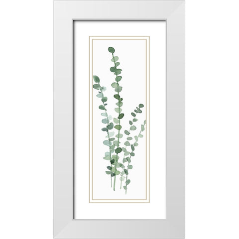 Fresh Eucalyptus White Modern Wood Framed Art Print with Double Matting by Isabelle Z