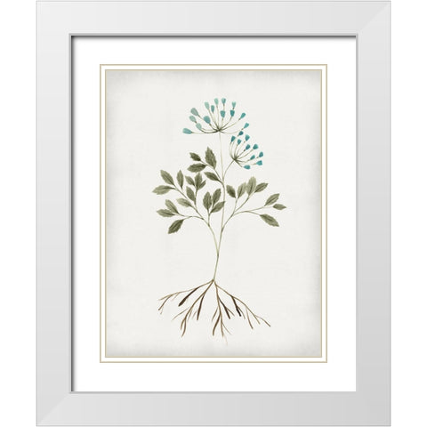 Rooted Floral III White Modern Wood Framed Art Print with Double Matting by Isabelle Z