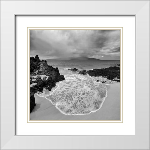 Beach Oasis White Modern Wood Framed Art Print with Double Matting by Frates, Dennis