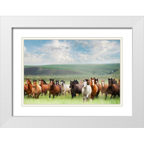 Horse Stampede White Modern Wood Framed Art Print with Double Matting by Lane, Georgianna