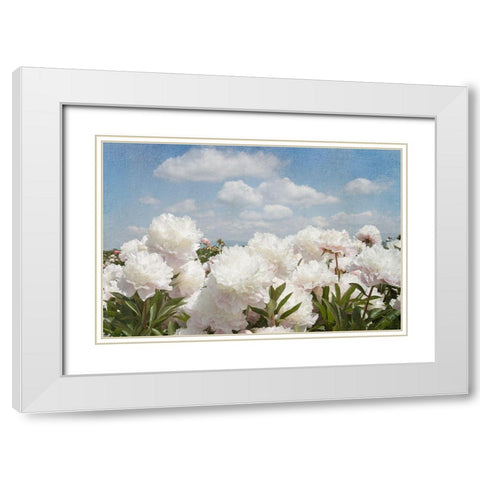 Peonie Sunshine I White Modern Wood Framed Art Print with Double Matting by Lane, Georgianna