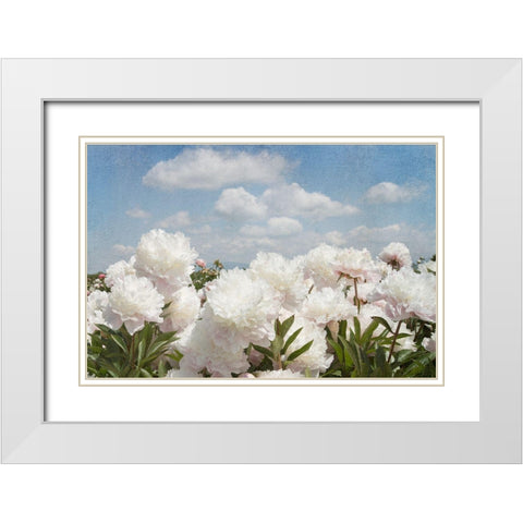 Peonie Sunshine I White Modern Wood Framed Art Print with Double Matting by Lane, Georgianna