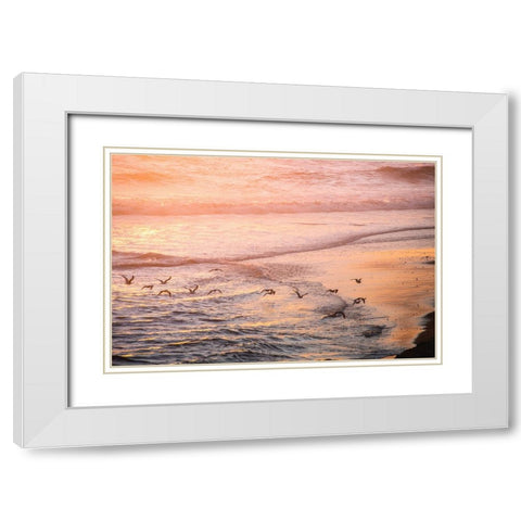 Ocean Beach and Sunset Seagulls White Modern Wood Framed Art Print with Double Matting by Nature Magick