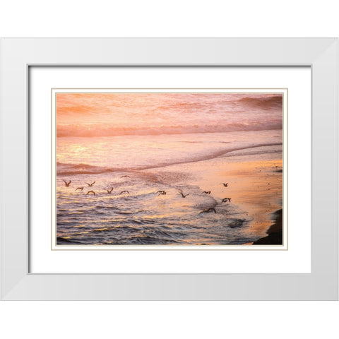 Ocean Beach and Sunset Seagulls White Modern Wood Framed Art Print with Double Matting by Nature Magick