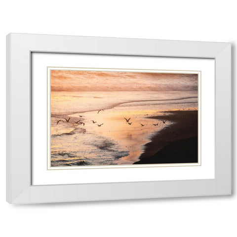Sunset Seagulls and Pacific Ocean II White Modern Wood Framed Art Print with Double Matting by Nature Magick