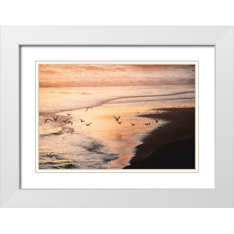Sunset Seagulls and Pacific Ocean II White Modern Wood Framed Art Print with Double Matting by Nature Magick