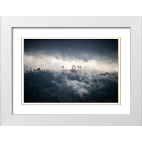 Fir Trees in the Forest Fog Blue White Modern Wood Framed Art Print with Double Matting by Nature Magick