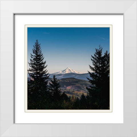 Mountain Through the Forest White Modern Wood Framed Art Print with Double Matting by Nature Magick