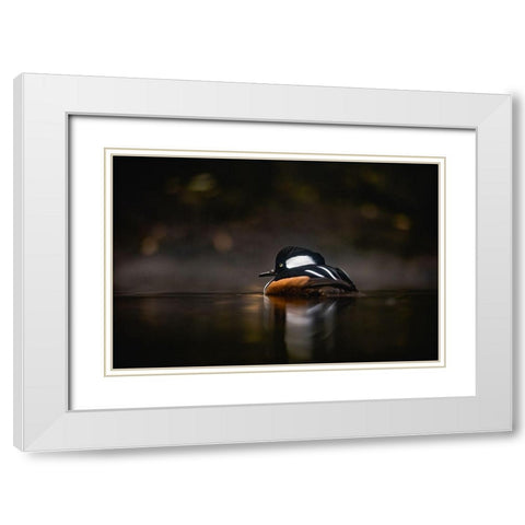 Pacific Northwest Duck Lake Reflection White Modern Wood Framed Art Print with Double Matting by Nature Magick