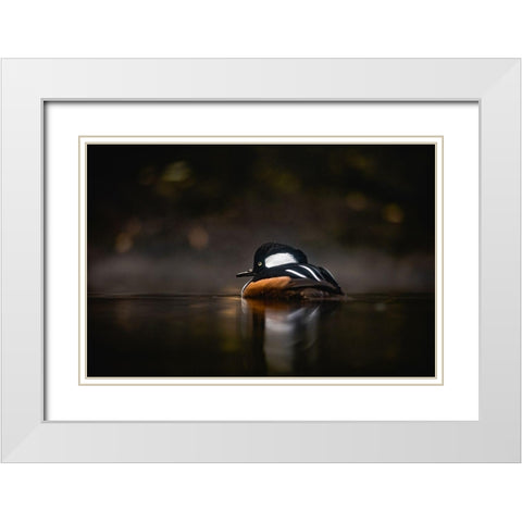 Pacific Northwest Duck Lake Reflection White Modern Wood Framed Art Print with Double Matting by Nature Magick