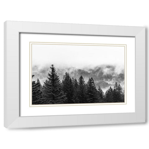 Clouds in the Forest Black and White White Modern Wood Framed Art Print with Double Matting by Nature Magick
