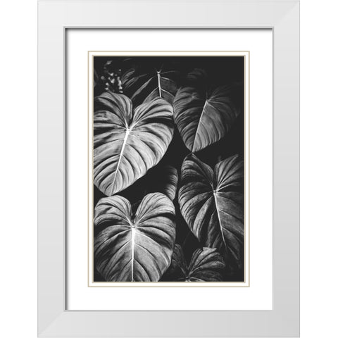 Monstera Leaves Jungle Black and White Tropical White Modern Wood Framed Art Print with Double Matting by Nature Magick
