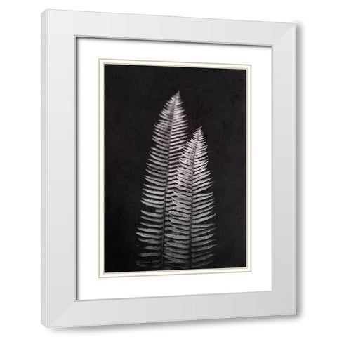 Black and White Forest Ferns White Modern Wood Framed Art Print with Double Matting by Nature Magick
