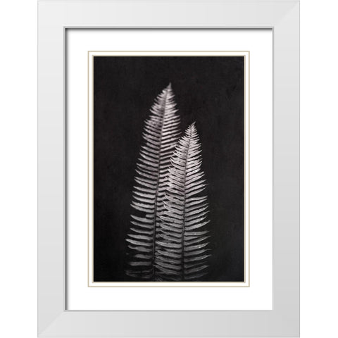 Black and White Forest Ferns White Modern Wood Framed Art Print with Double Matting by Nature Magick