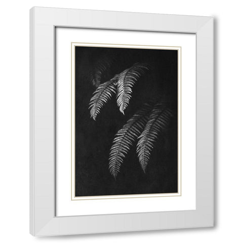 Black and White Forest Ferns II White Modern Wood Framed Art Print with Double Matting by Nature Magick