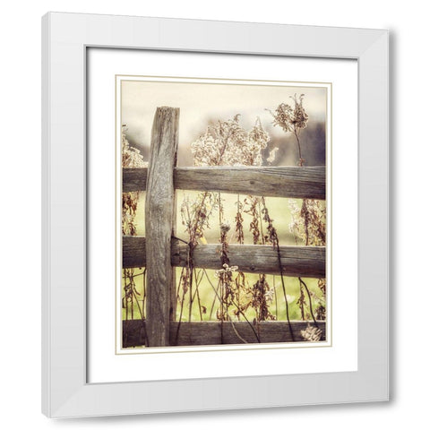 Sunrise Fence I White Modern Wood Framed Art Print with Double Matting by Goodkind, Kristi