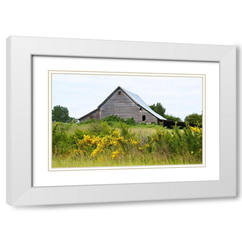 Summer Barn  White Modern Wood Framed Art Print with Double Matting by Wilson, Gerry