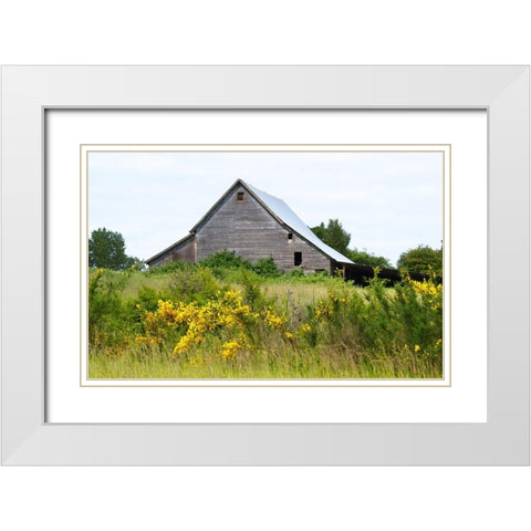 Summer Barn  White Modern Wood Framed Art Print with Double Matting by Wilson, Gerry
