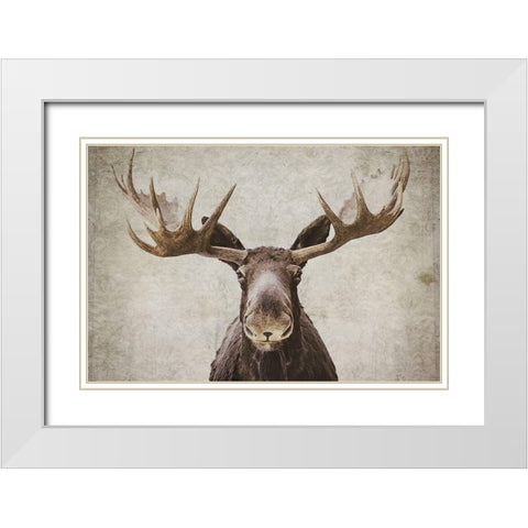 Moose White Modern Wood Framed Art Print with Double Matting by Cook, Natasia